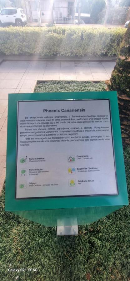 Ibis Budget Nao Me Toque Nao-Me-Toque Bagian luar foto
